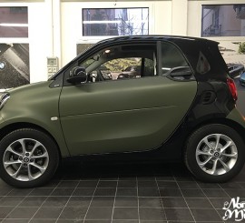 Smart Green passion